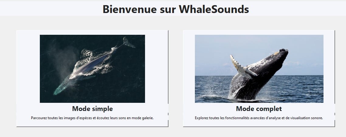 visualisation dans whale sounds