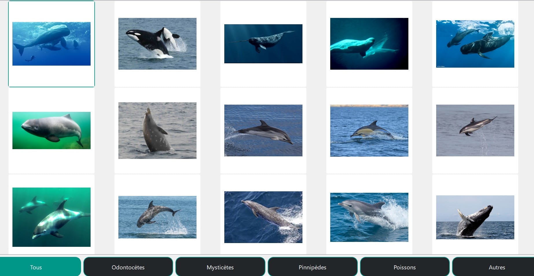 visualisation des espèces dans whale sounds