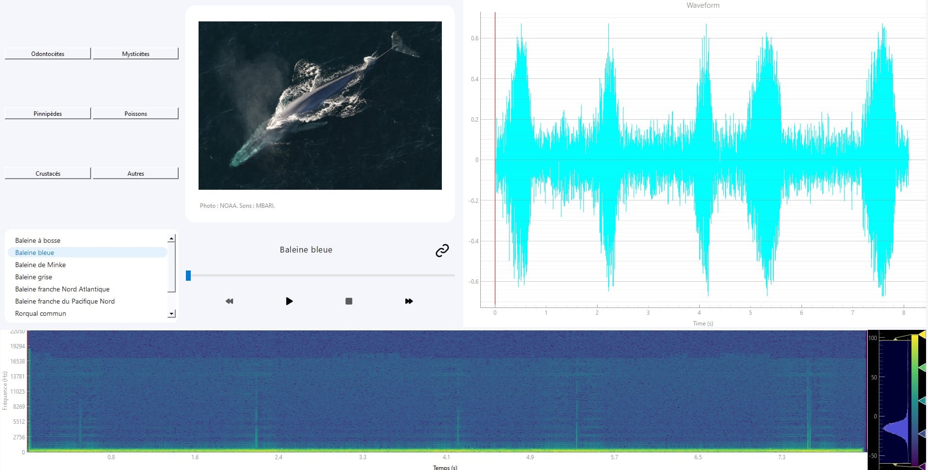 visualisation d'un son dans whale sounds