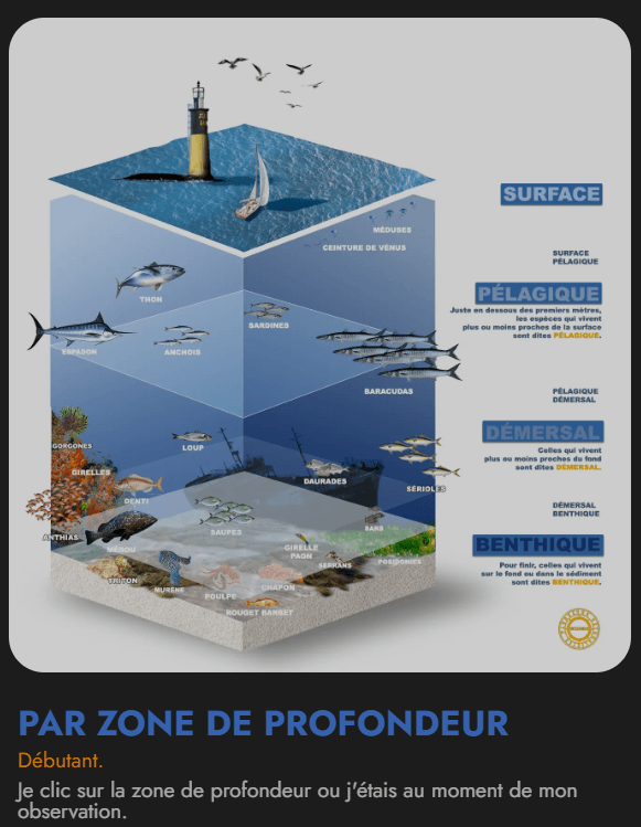 Ecran de recherche par zone de profondeur