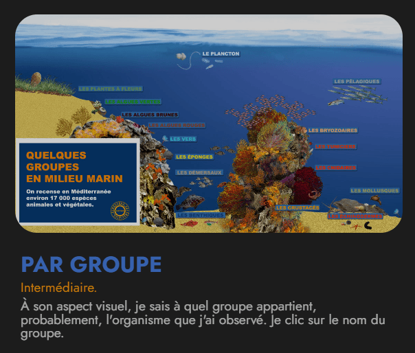 Recherche par groupe