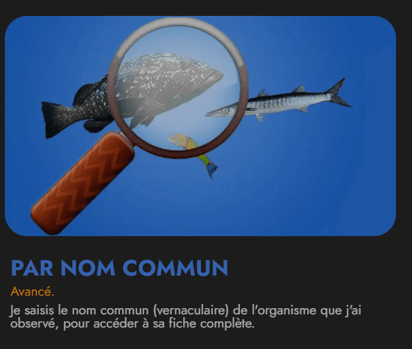 Mode de recherche par nom commun de l'espèce