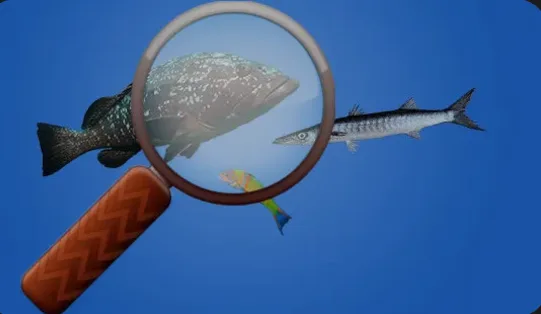 dive 360 d
