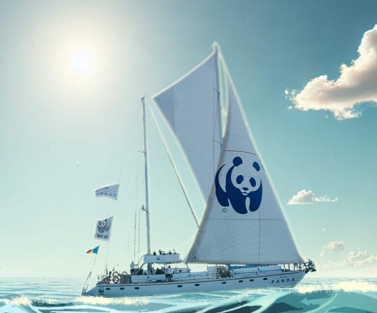 Illustration d'un voilier en pleine mer avec le logo du WWF sur la voile