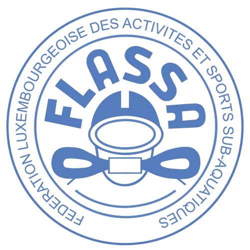 logo FLASSA