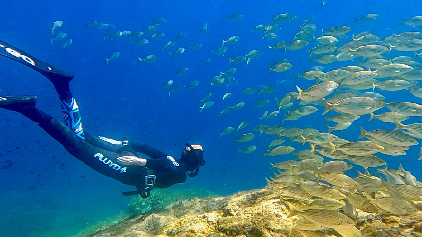Une apnéiste approche un banc de poissons